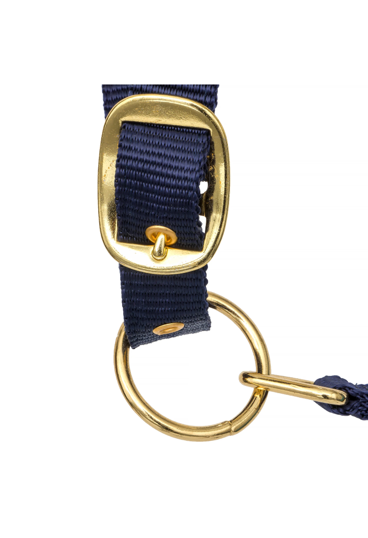 Kantar START Star&Heart