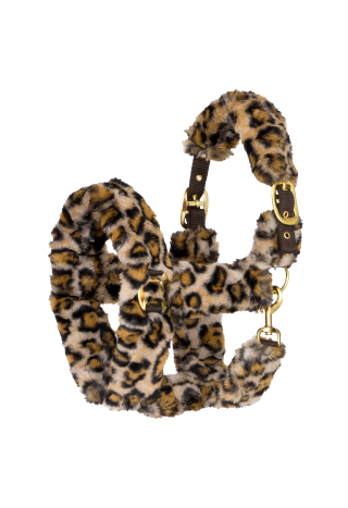 Kantar START TeddyLeopard