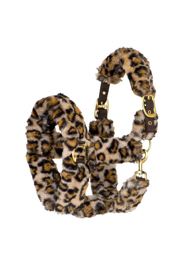 Kantar START TeddyLeopard