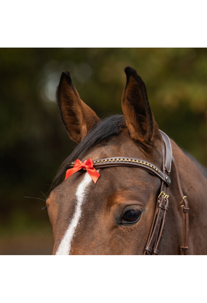 Kokardka ostrzegawcza QHP