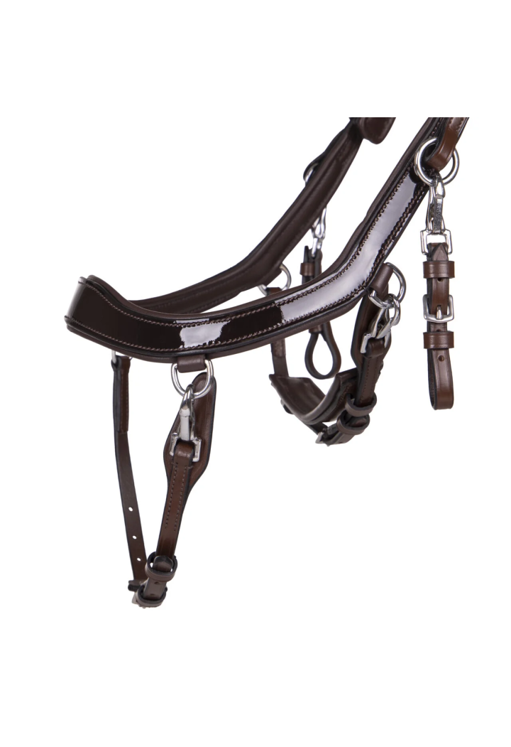 Ogłowie PresTEQ FaySport Shine