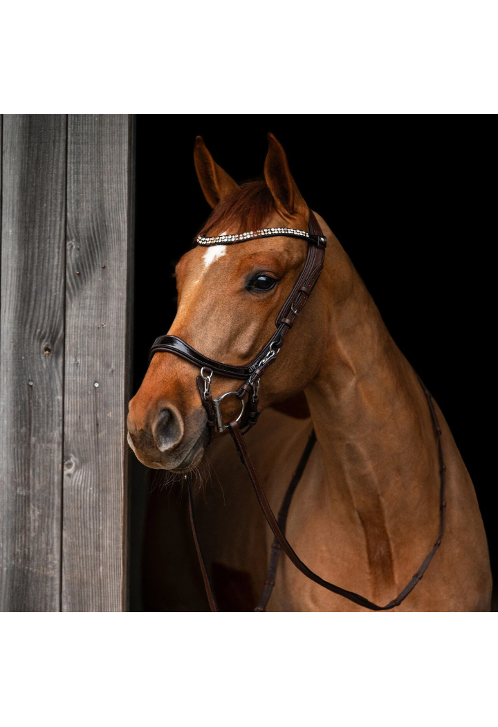 Ogłowie PresTEQ FaySport Shine