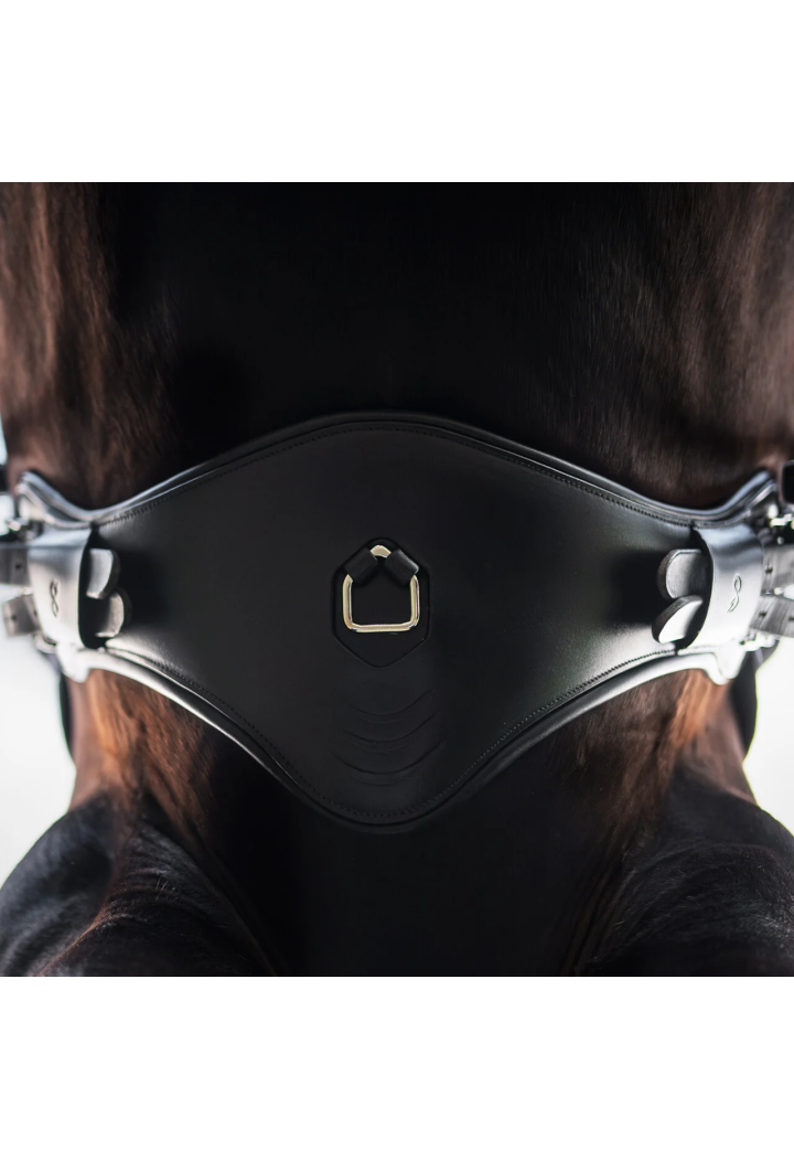 Popręg ujeżdżeniowy anatomiczny PresTEQ Perform Free