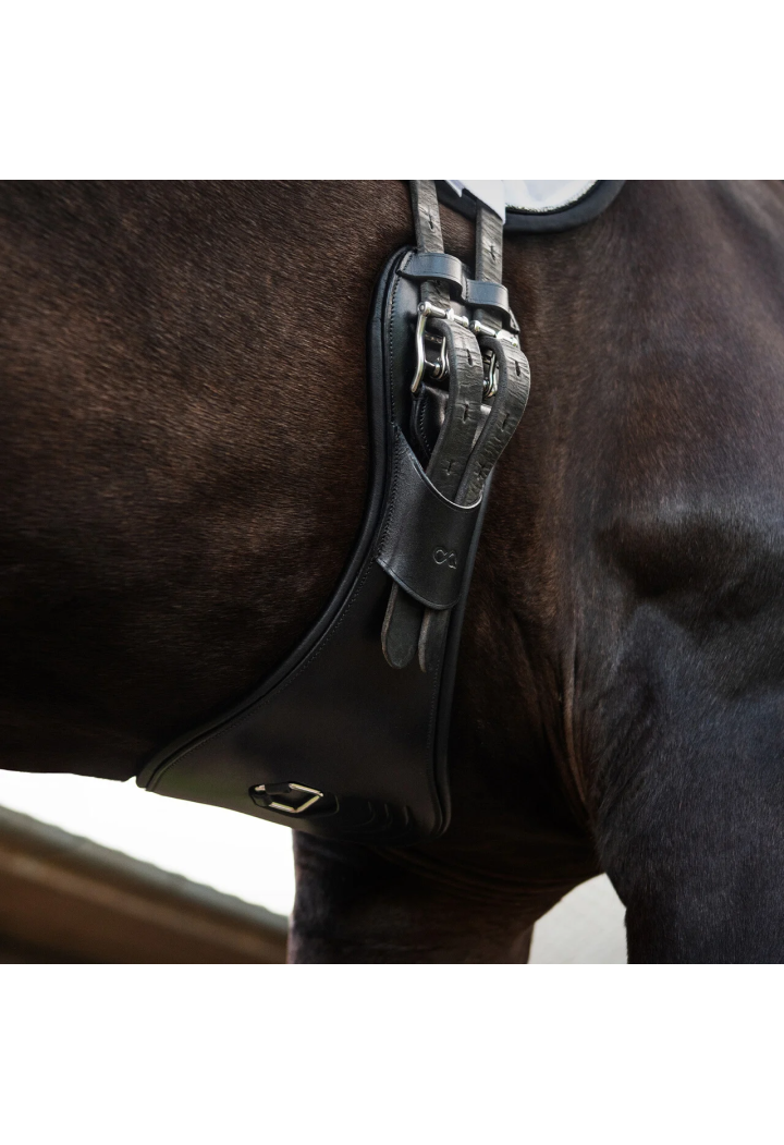 Popręg ujeżdżeniowy anatomiczny PresTEQ Perform Free