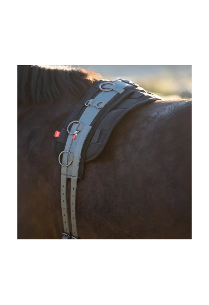 Pas do lonżowania Imperial Riding Deluxe Extra