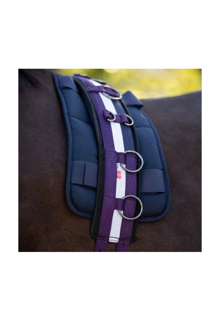 Pas do lonżowania Imperial Riding Deluxe Extra