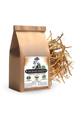 Kłącze perzu SAMFARM 500g