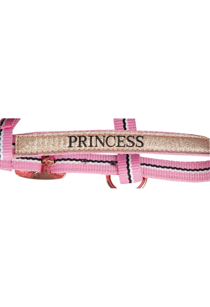 Kantar+uwiąz źrebięcy HH