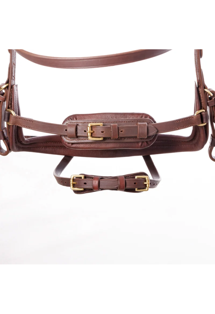 Ogłowie KAVALKADE Caliano