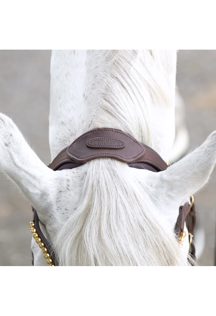 Ogłowie KAVALKADE Caliano