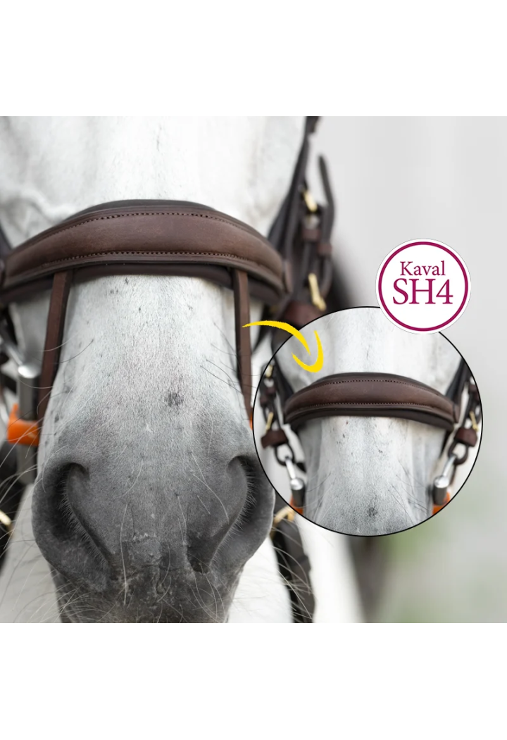 Ogłowie KAVALKADE Caliano