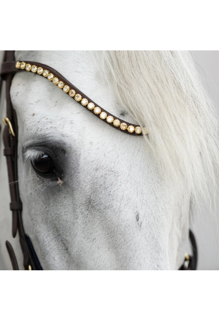 Ogłowie KAVALKADE Caliano