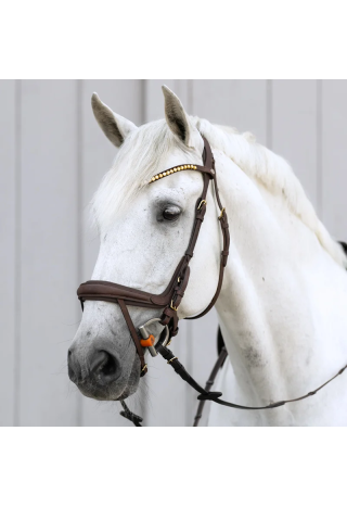 Ogłowie KAVALKADE Caliano