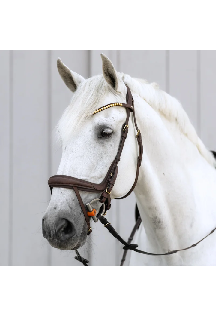 Ogłowie KAVALKADE Caliano
