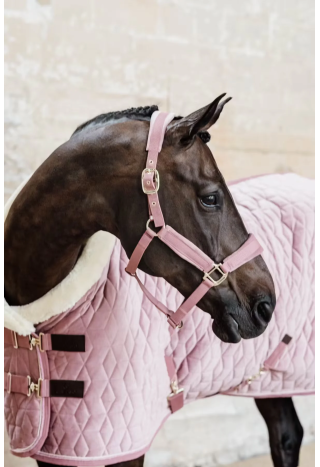 Kantar KENTUCKY Velvet | Sklep jeździecki Horse Trade.pl