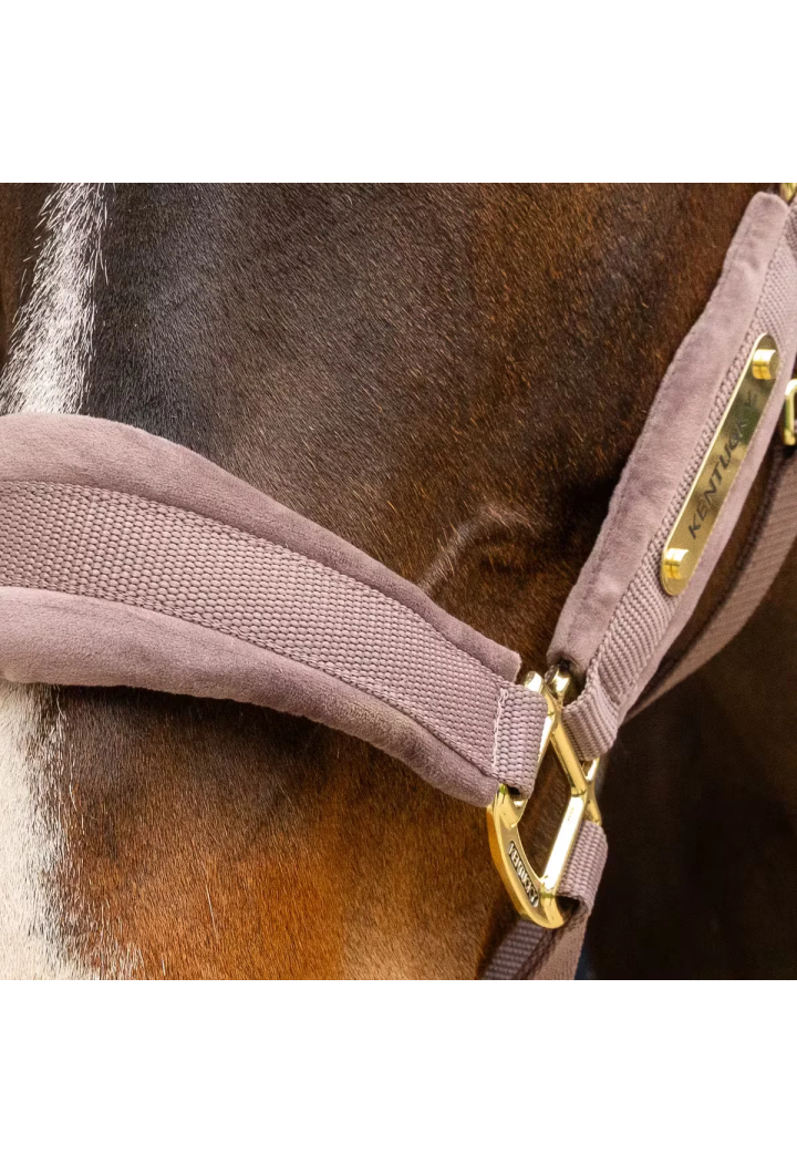 Kantar KENTUCKY Velvet | Sklep jeździecki Horse Trade.pl