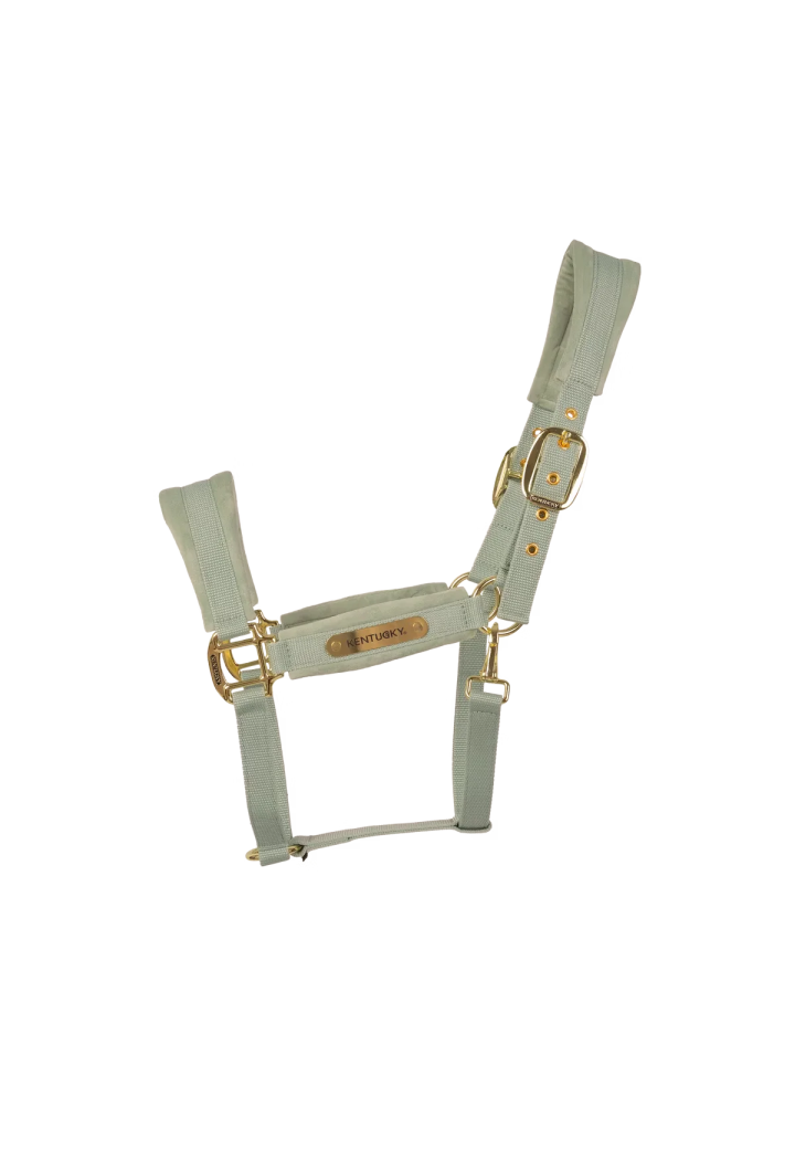 Kantar KENTUCKY Velvet | Sklep jeździecki Horse Trade.pl