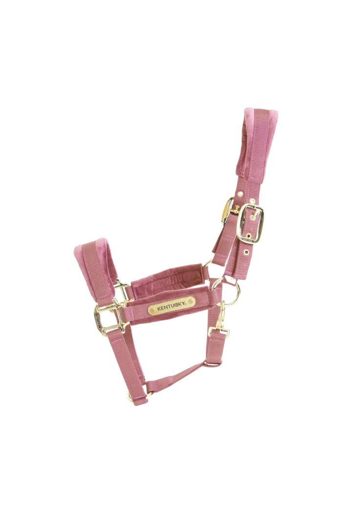 Kantar KENTUCKY Velvet | Sklep jeździecki Horse Trade.pl