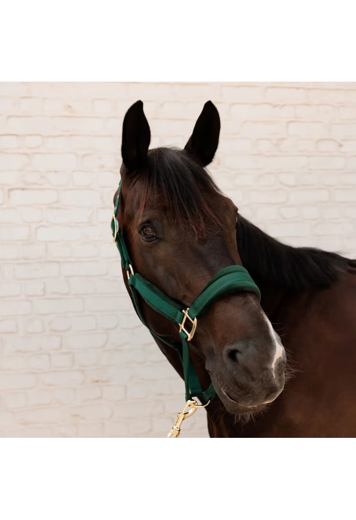 Kantar KENTUCKY Velvet | Sklep jeździecki Horse Trade.pl