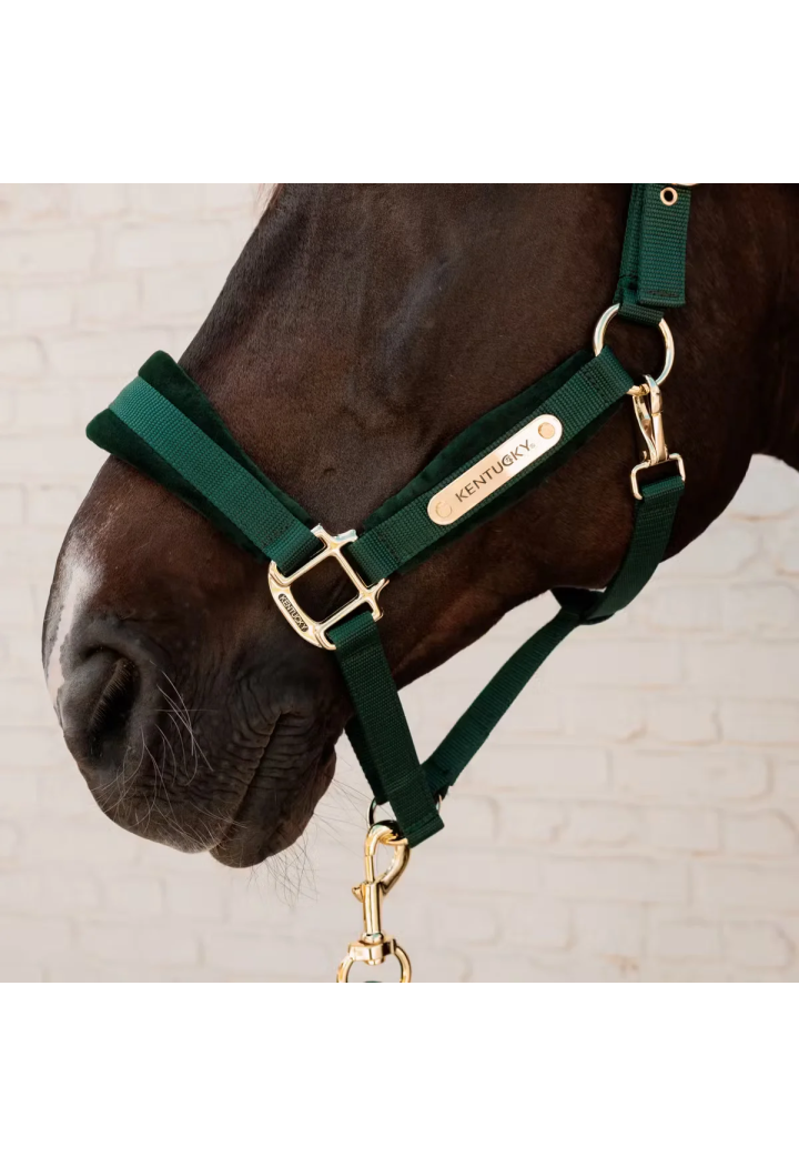 Kantar KENTUCKY Velvet | Sklep jeździecki Horse Trade.pl