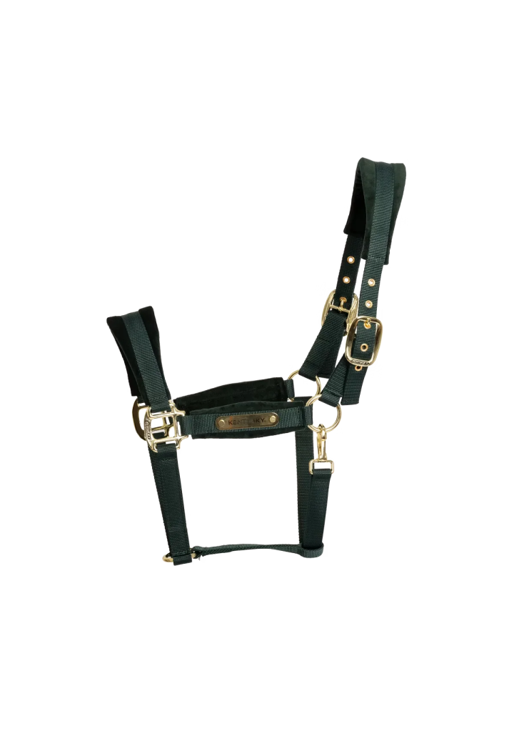 Kantar KENTUCKY Velvet | Sklep jeździecki Horse Trade.pl