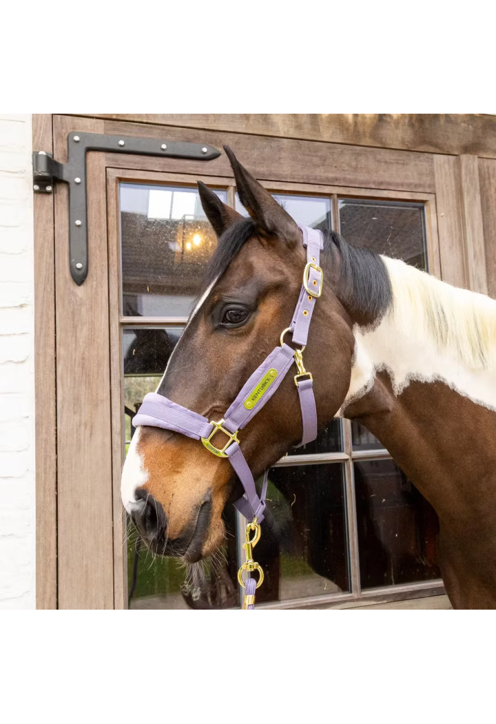Kantar KENTUCKY Velvet | Sklep jeździecki Horse Trade.pl