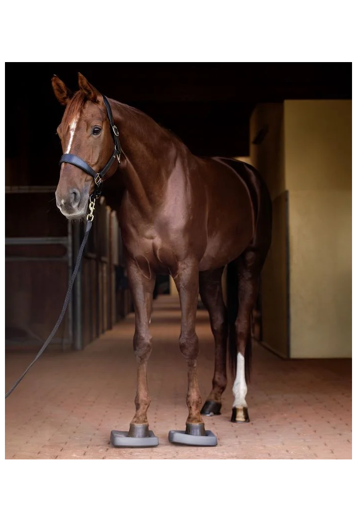 Maty balansowe WALDHAUSEN Health+Care