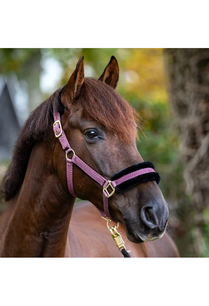 Kantar KAVALKADE Gretchen Faux Fur