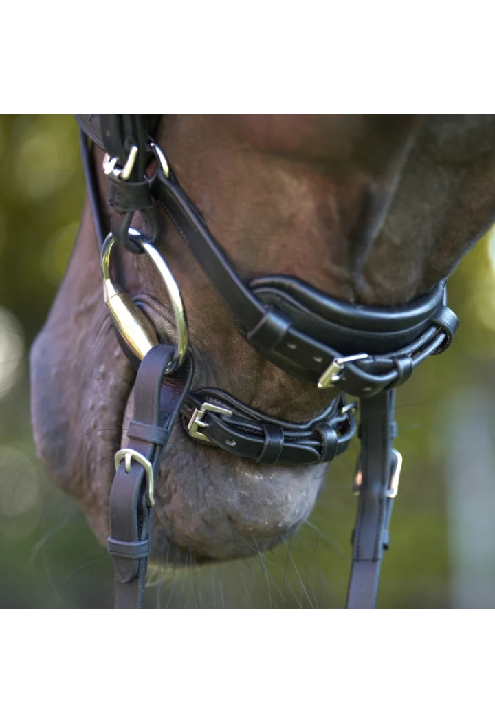 Ogłowie KAVALKADE Calla black CS