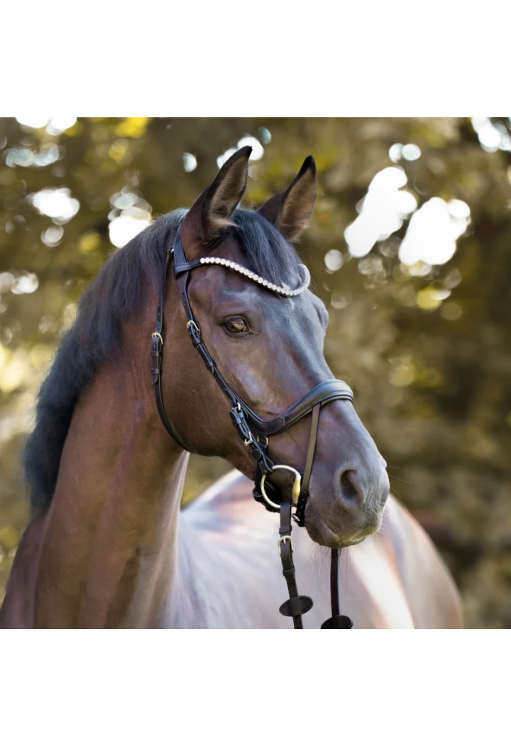 Ogłowie KAVALKADE Calla black CS