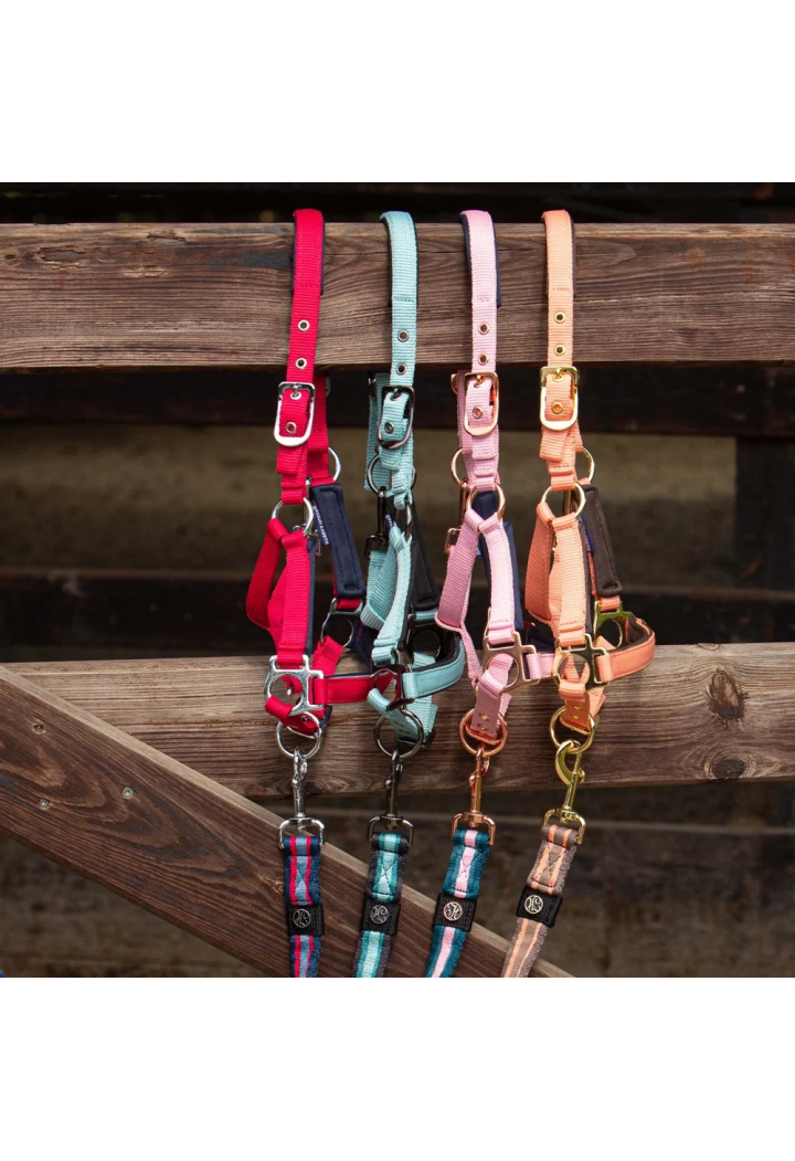 Kantar źrebięcy HH Metal 26SS barberry FOAL