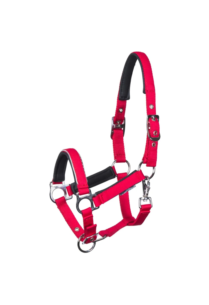 Kantar źrebięcy HH Metal 26SS barberry FOAL