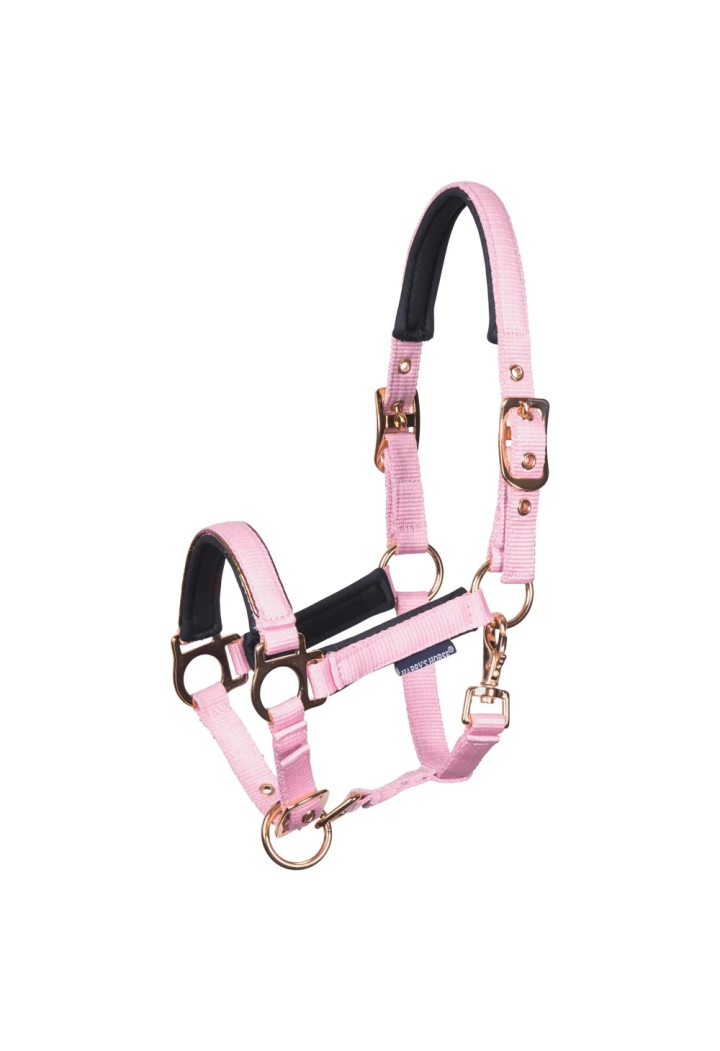 Kantar źrebięcy HH Metal 26SS barberry FOAL