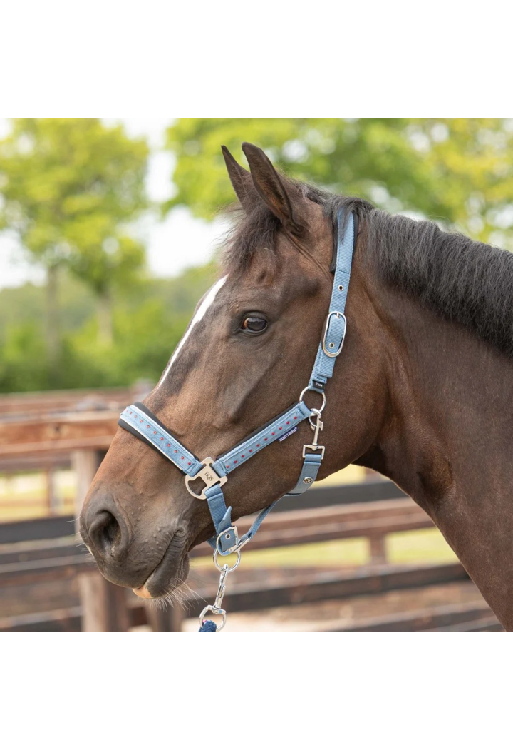 Kantar z uwiązem Harry's Horse Crystal wiosna/lato 2026