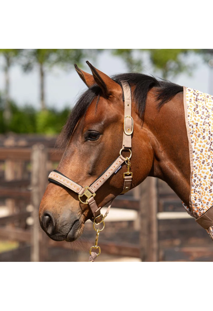 Kantar z uwiązem Harry's Horse Crystal wiosna/lato 2026