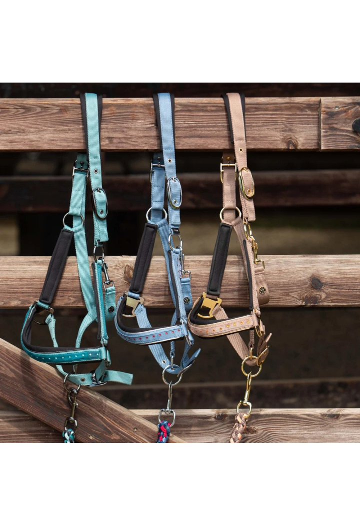 Kantar z uwiązem Harry's Horse Crystal wiosna/lato 2026