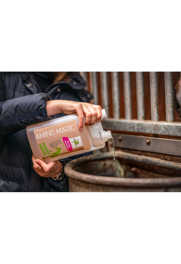 Aminokwasy B&E AminoMagic 1l