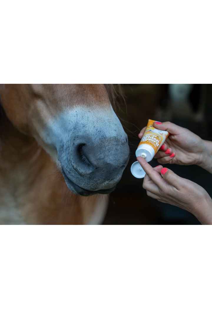 Balsam do pyska Bense&Eicke Lilla Livet Honey Golden 100ml