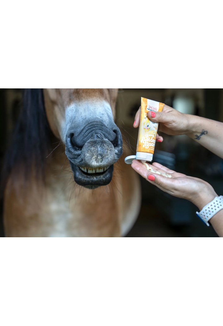 Balsam do pyska Bense&Eicke Lilla Livet Honey Golden 100ml