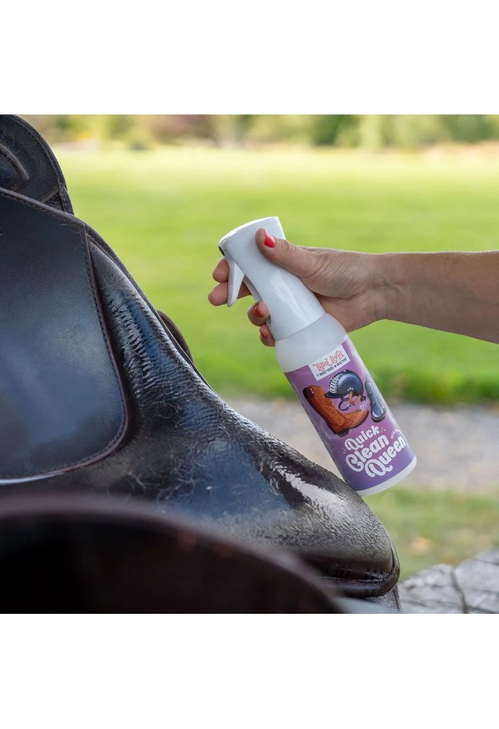 Preparat do czyszenia Bense&Eicke Lilla Livet CleanQueen 500ml