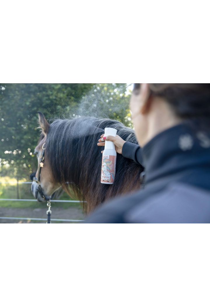 Odżywka do grzywy Bense&Eicke Natural Mane Magic 500ml