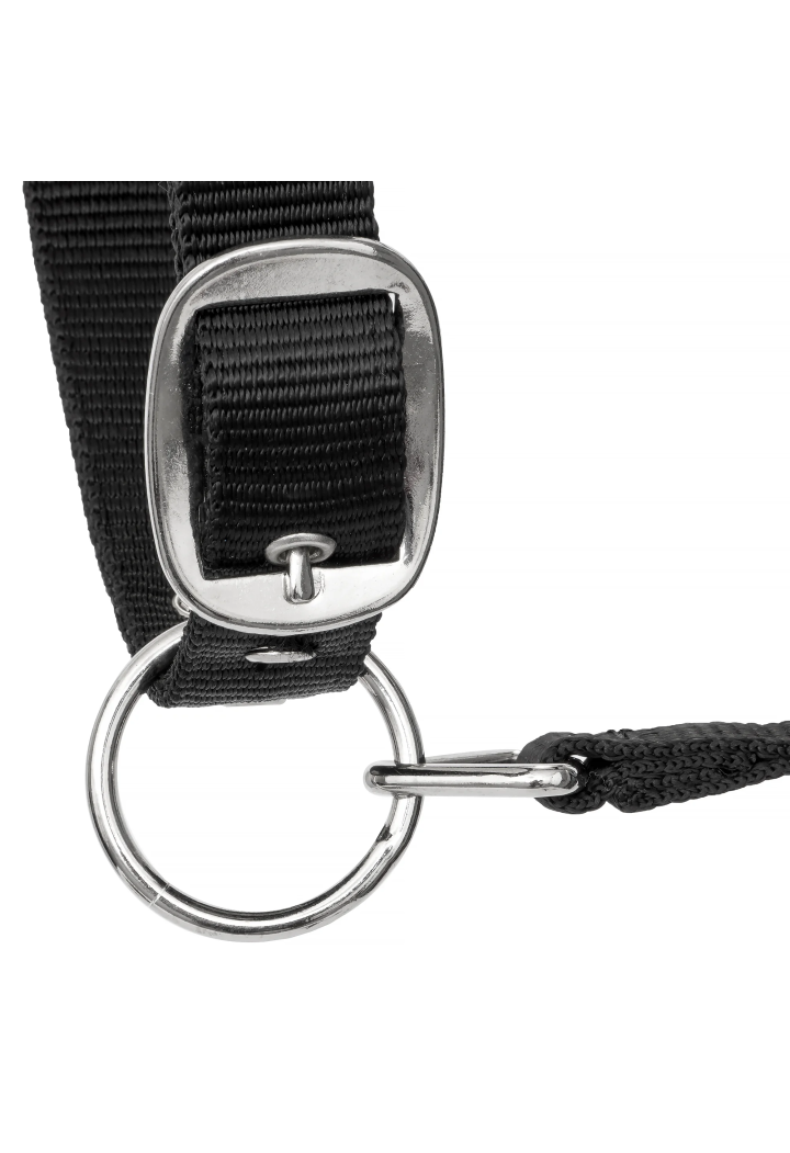 Kantar START Neoprene Glitter 2tone