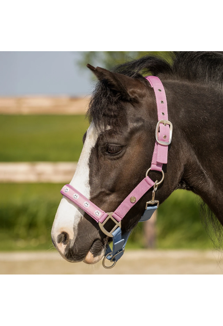 Kantar QHP Rosalynn wiosna/lato 2026