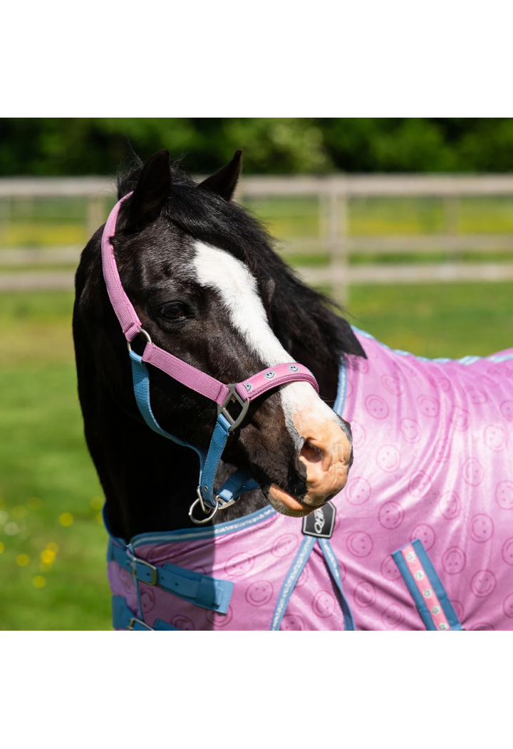 Kantar QHP Rosalynn wiosna/lato 2026