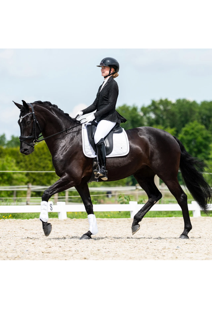 Frak QHP Jipp wiosna/lato 2026 młodzieżowy