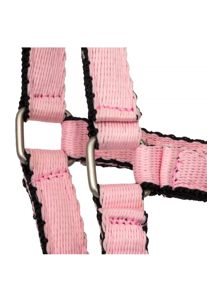 Kantar START Foal Strong