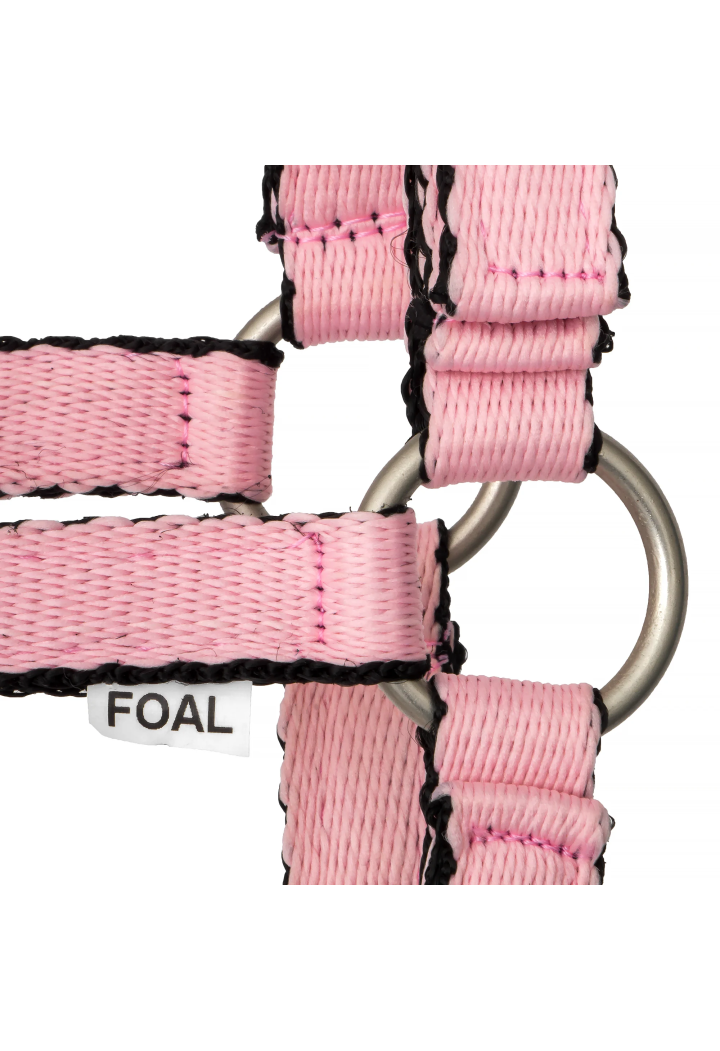 Kantar START Foal Strong