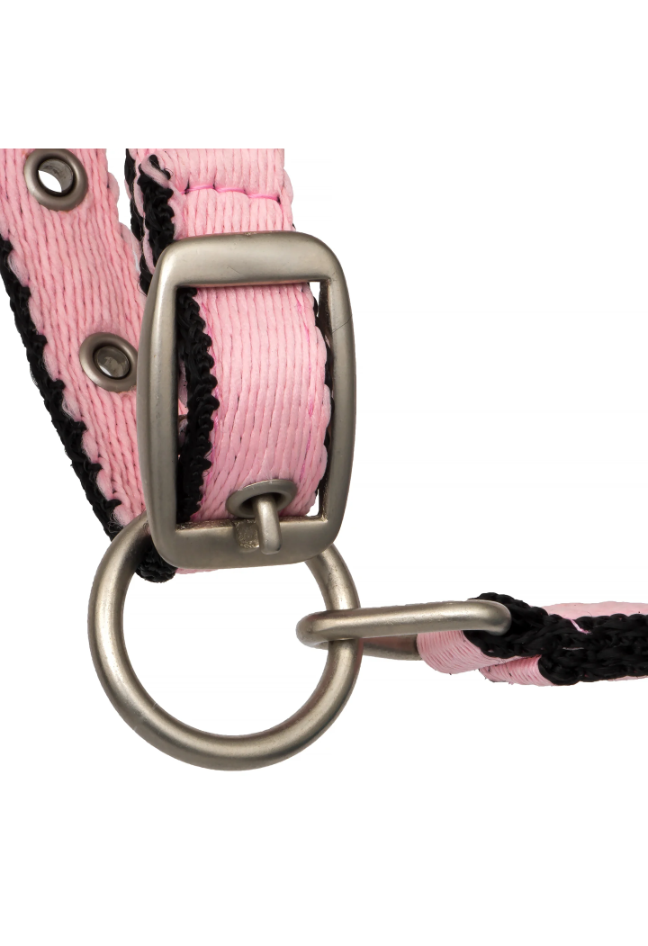 Kantar START Foal Strong