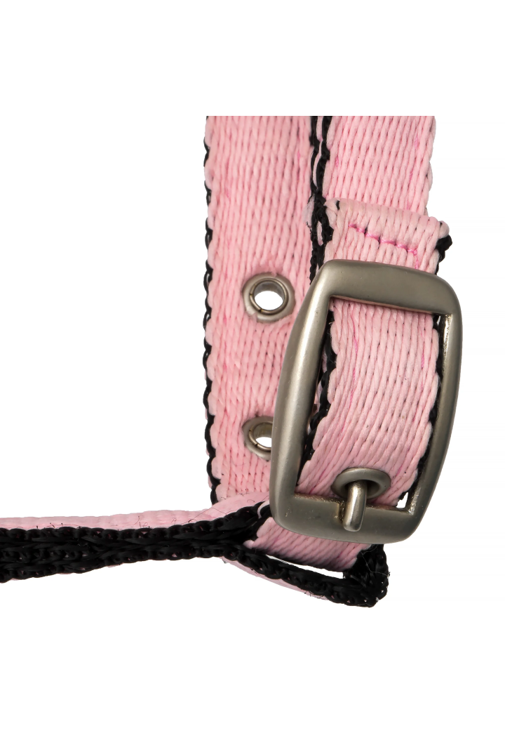 Kantar START Foal Strong