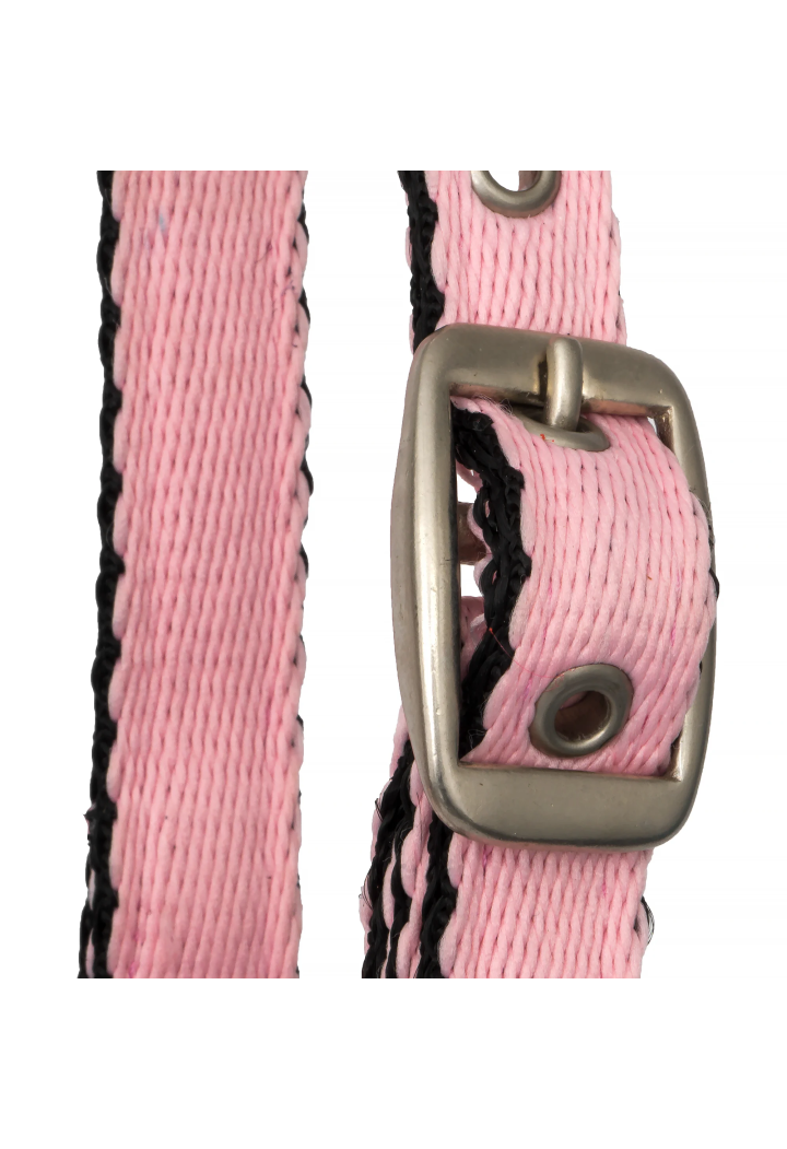 Kantar START Foal Strong